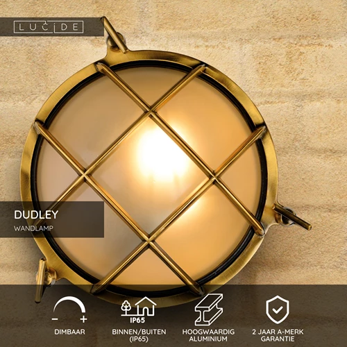 Lucide DUDLEY - Wandlamp Binnen/Buiten - Ø 22 cm - 1xE27 - IP65 - Mat Goud / Messing - USP